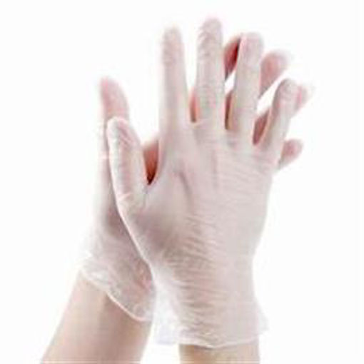 Picture of FM VINYL GLOVES XL 100CT